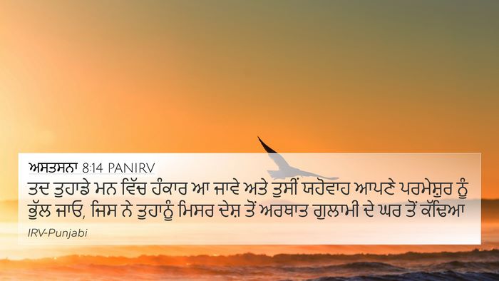 ਅਸਤਸਨਾ 8:14 PANIRV Bible Verse Image