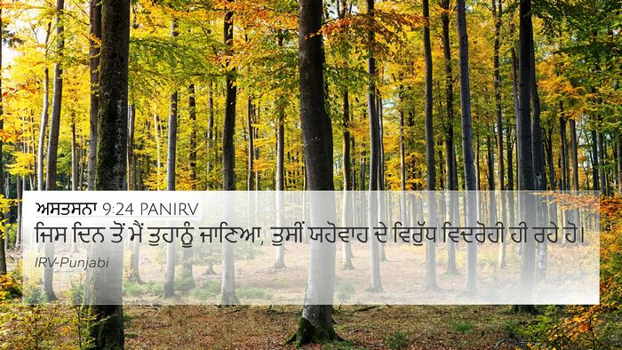 ਅਸਤਸਨਾ 9:24 PANIRV Bible Verse Image