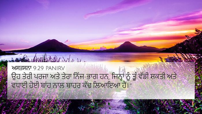 ਅਸਤਸਨਾ 9:29 PANIRV Bible Verse Image