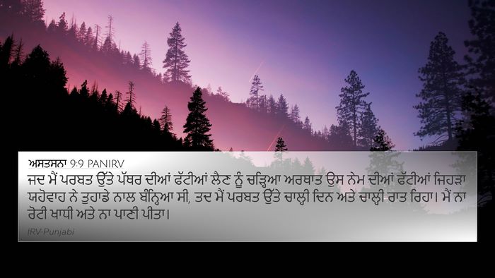 ਅਸਤਸਨਾ 9:9 PANIRV Bible Verse Image