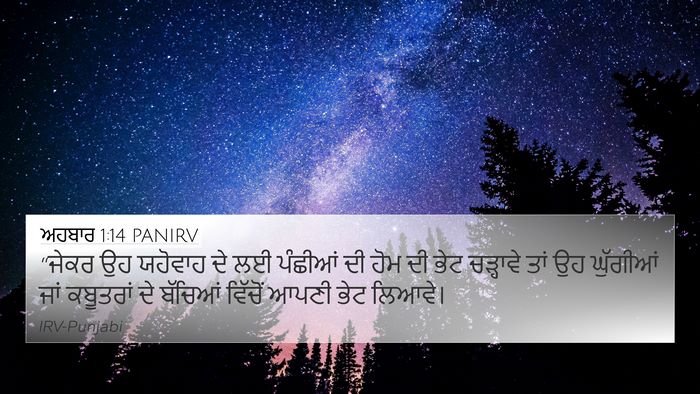 ਅਹਬਾਰ 1:14 PANIRV Bible Verse Image