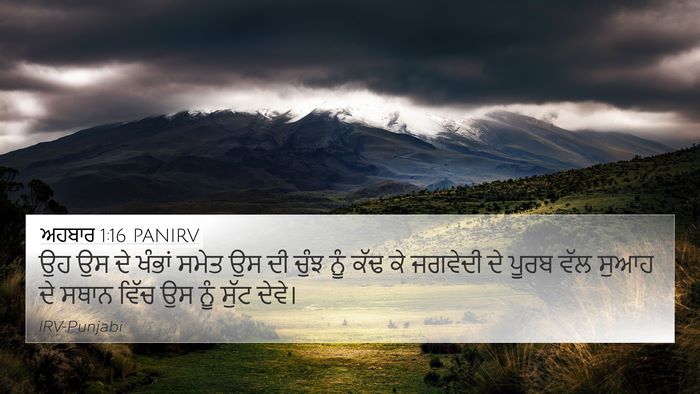 ਅਹਬਾਰ 1:16 PANIRV 4K Wallpaper - ਉਹ ਉਸ ਦੇ ਖੰਭਾਂ ਸਮੇਤ - 4K Wallpaper Bible Verse