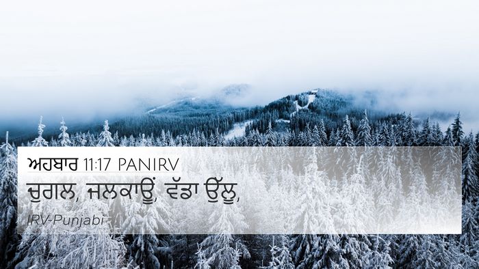 ਅਹਬਾਰ 11:17 PANIRV 4K Wallpaper - ਚੁਗਲ, ਜਲਕਾਊਂ, ਵੱਡਾ - 4K Wallpaper Bible Verse