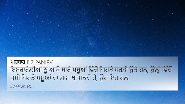 ਅਹਬਾਰ 11:2 PANIRV Bible Verse Image