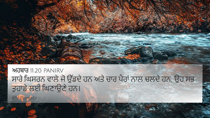 ਅਹਬਾਰ 11:20 PANIRV 4K Wallpaper - ਸਾਰੇ ਘਿਸਰਨ ਵਾਲੇ ਜੋ - 4K Wallpaper Bible Verse