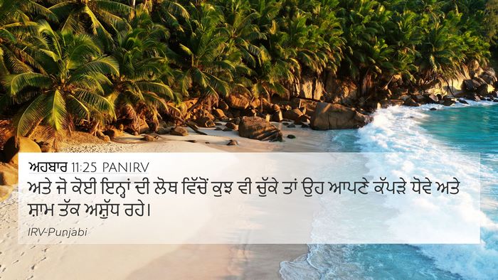 ਅਹਬਾਰ 11:25 PANIRV Bible Verse Image
