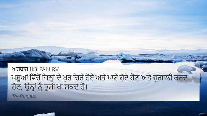 ਅਹਬਾਰ 11:3 PANIRV 4K Wallpaper - ਪਸ਼ੂਆਂ ਵਿੱਚੋਂ - 4K Wallpaper Bible Verse