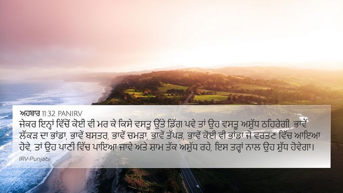 ਅਹਬਾਰ 11:32 PANIRV Bible Verse Image