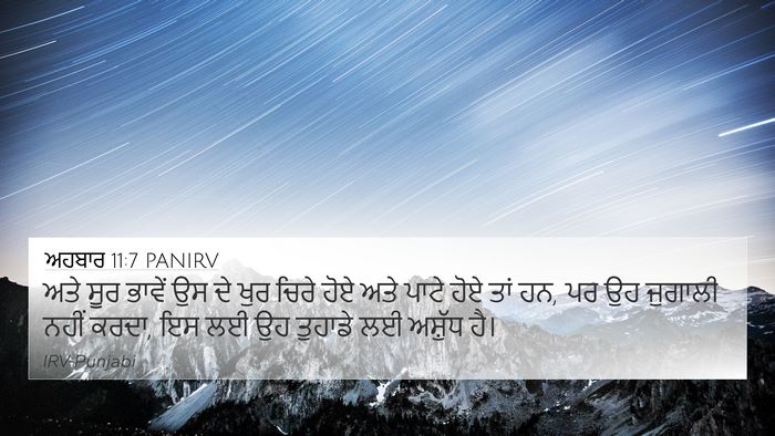 ਅਹਬਾਰ 11:7 PANIRV Bible Verse Image