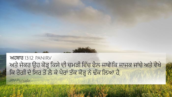 ਅਹਬਾਰ 13:12 PANIRV 4K Wallpaper - ਅਤੇ ਜੇਕਰ ਉਹ ਕੋੜ੍ਹ - 4K Wallpaper Bible Verse