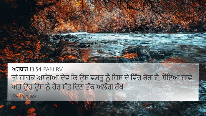 ਅਹਬਾਰ 13:54 PANIRV 4K Wallpaper - ਤਾਂ ਜਾਜਕ ਆਗਿਆ ਦੇਵੇ - 4K Wallpaper Bible Verse