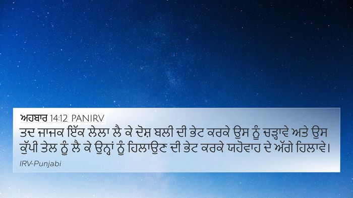 ਅਹਬਾਰ 14:12 PANIRV Bible Verse Image