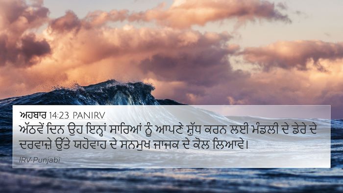 ਅਹਬਾਰ 14:23 PANIRV Bible Verse Image