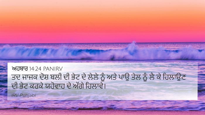 ਅਹਬਾਰ 14:24 PANIRV 4K Wallpaper - ਤਦ ਜਾਜਕ ਦੋਸ਼ ਬਲੀ ਦੀ - 4K Wallpaper Bible Verse
