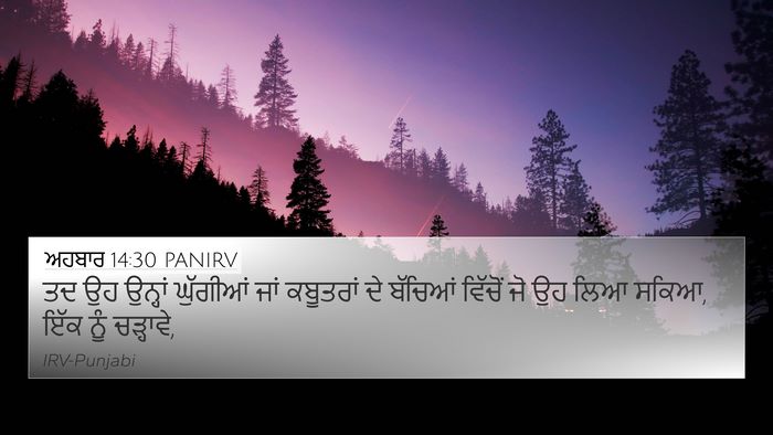ਅਹਬਾਰ 14:30 PANIRV Bible Verse Image