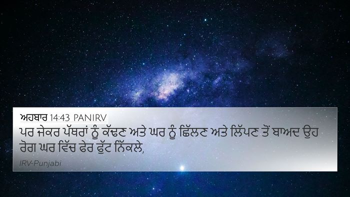 ਅਹਬਾਰ 14:43 PANIRV 4K Wallpaper - ਪਰ ਜੇਕਰ ਪੱਥਰਾਂ ਨੂੰ - 4K Wallpaper Bible Verse