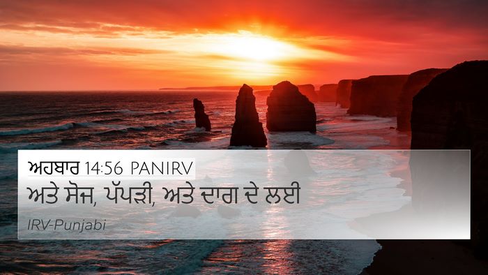 ਅਹਬਾਰ 14:56 PANIRV Bible Verse Image