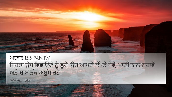ਅਹਬਾਰ 15:5 PANIRV Bible Verse Image