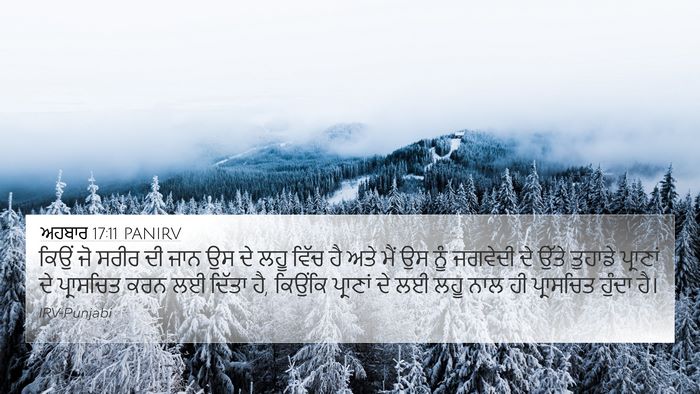 ਅਹਬਾਰ 17:11 PANIRV Bible Verse Image