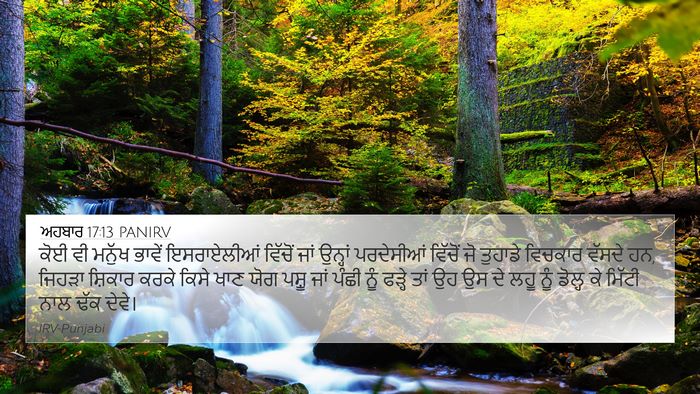 ਅਹਬਾਰ 17:13 PANIRV Bible Verse Image