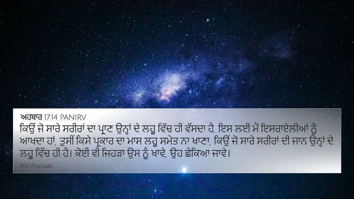ਅਹਬਾਰ 17:14 PANIRV 4K Wallpaper - ਕਿਉਂ ਜੋ ਸਾਰੇ - 4K Wallpaper Bible Verse