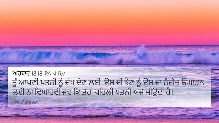 ਅਹਬਾਰ 18:18 PANIRV Bible Verse Image