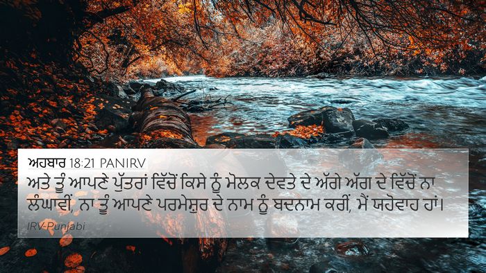 ਅਹਬਾਰ 18:21 PANIRV Bible Verse Image