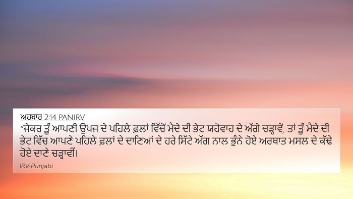 ਅਹਬਾਰ 2:14 PANIRV Bible Verse Image