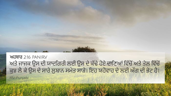 ਅਹਬਾਰ 2:16 PANIRV Bible Verse Image