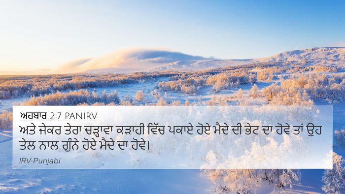ਅਹਬਾਰ 2:7 PANIRV 4K Wallpaper - ਅਤੇ ਜੇਕਰ ਤੇਰਾ - 4K Wallpaper Bible Verse