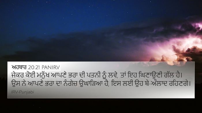 ਅਹਬਾਰ 20:21 PANIRV Bible Verse Image