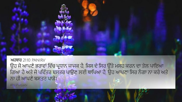 ਅਹਬਾਰ 21:10 PANIRV Bible Verse Image