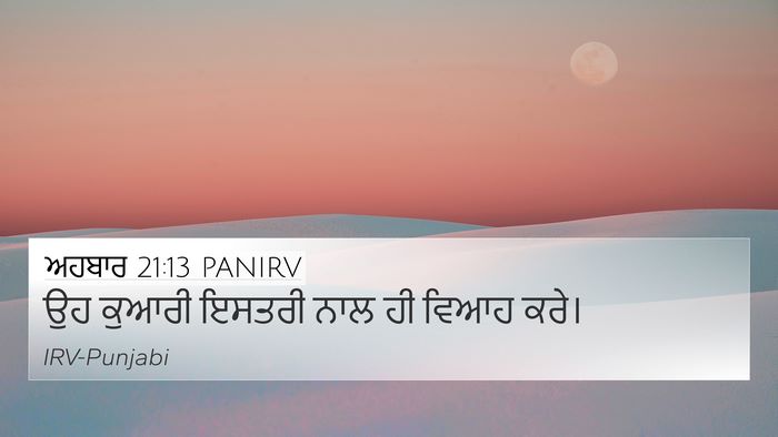 ਅਹਬਾਰ 21:13 PANIRV Bible Verse Image