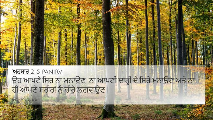 ਅਹਬਾਰ 21:5 PANIRV Bible Verse Image