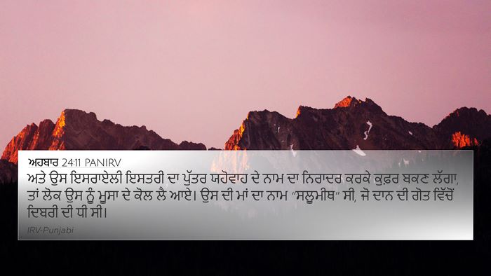 ਅਹਬਾਰ 24:11 PANIRV Bible Verse Image
