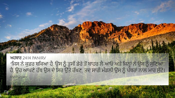ਅਹਬਾਰ 24:14 PANIRV Bible Verse Image