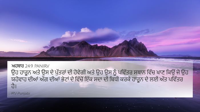 ਅਹਬਾਰ 24:9 PANIRV Bible Verse Image