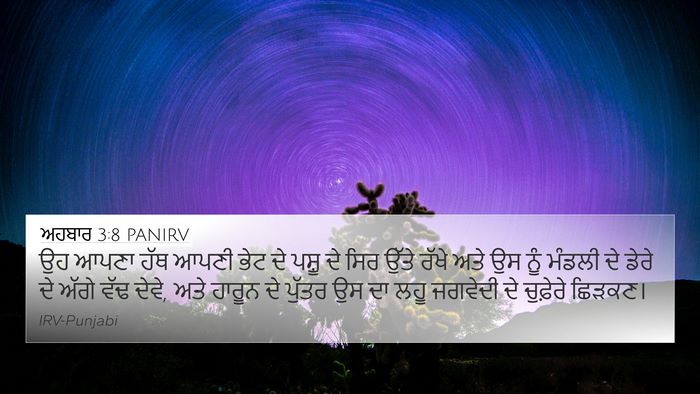 ਅਹਬਾਰ 3:8 PANIRV Bible Verse Image