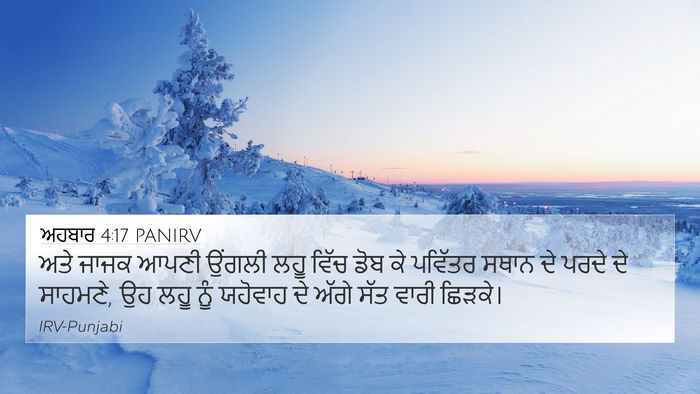 ਅਹਬਾਰ 4:17 PANIRV Bible Verse Image