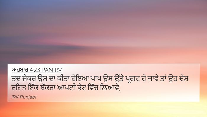 ਅਹਬਾਰ 4:23 PANIRV Bible Verse Image