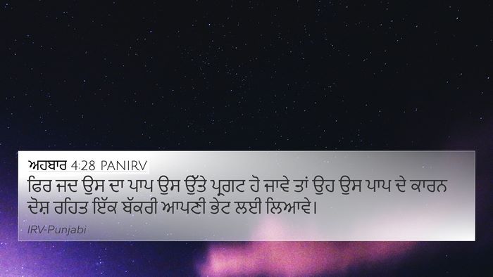 ਅਹਬਾਰ 4:28 PANIRV Bible Verse Image