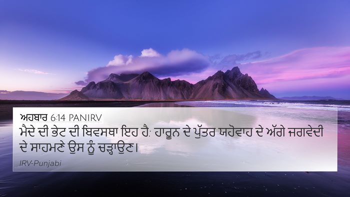 ਅਹਬਾਰ 6:14 PANIRV Bible Verse Image