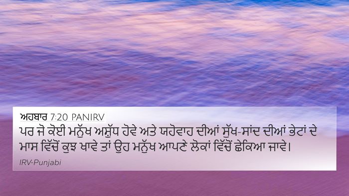 ਅਹਬਾਰ 7:20 PANIRV Bible Verse Image