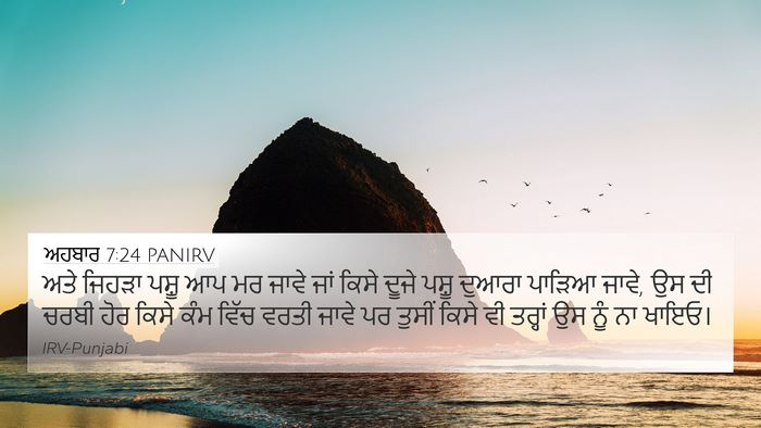 ਅਹਬਾਰ 7:24 PANIRV 4K Wallpaper - ਅਤੇ ਜਿਹੜਾ ਪਸ਼ੂ ਆਪ - 4K Wallpaper Bible Verse