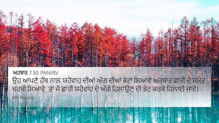 ਅਹਬਾਰ 7:30 PANIRV Bible Verse Image
