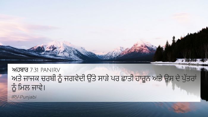 ਅਹਬਾਰ 7:31 PANIRV Bible Verse Image