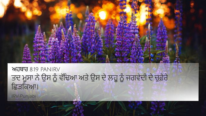 ਅਹਬਾਰ 8:19 PANIRV 4K Wallpaper - ਤਦ ਮੂਸਾ ਨੇ ਉਸ ਨੂੰ - 4K Wallpaper Bible Verse