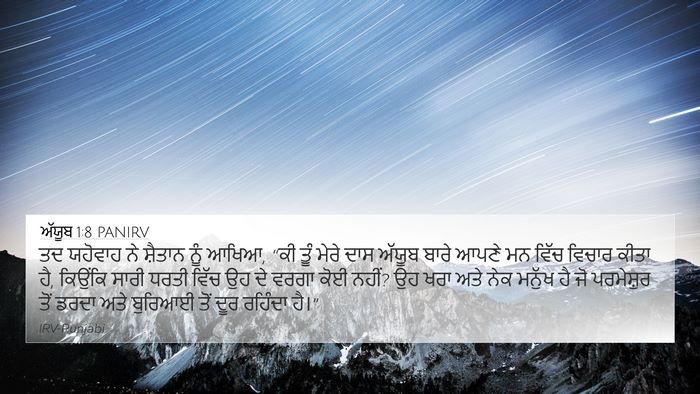 ਅੱਯੂਬ 1:8 PANIRV Bible Verse Image