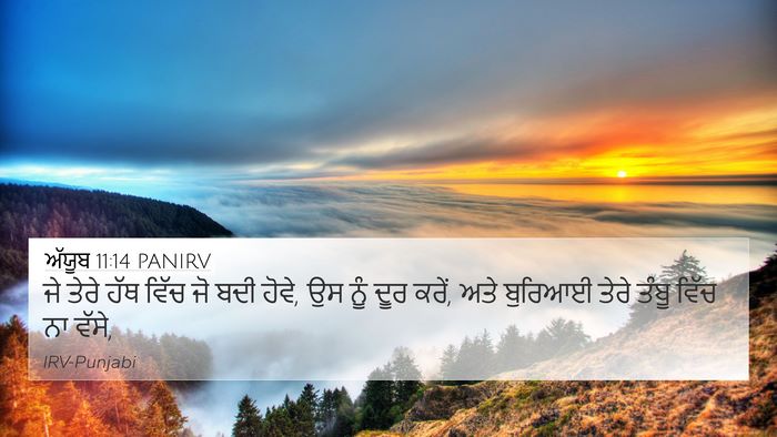 ਅੱਯੂਬ 11:14 PANIRV Bible Verse Image