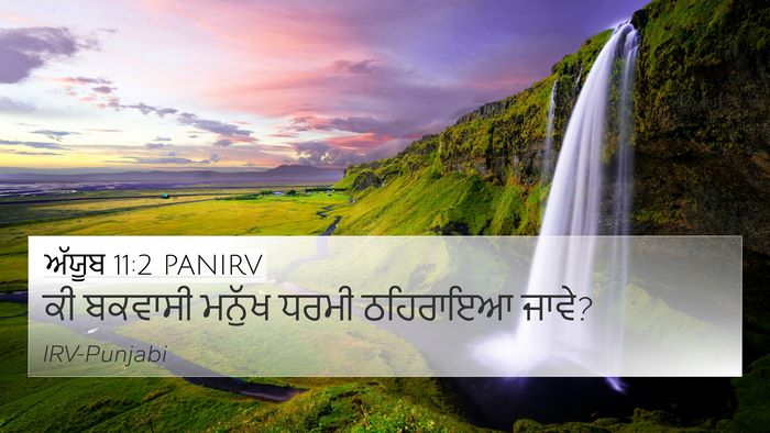 ਅੱਯੂਬ 11:2 PANIRV Bible Verse Image